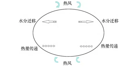 熱風干燥傳熱傳質(zhì)示意圖